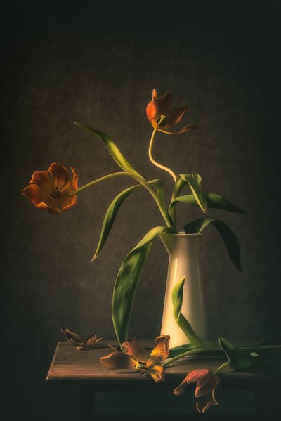 Stimmungsvolles Tulpen-Stillleben von Monique van Velzen