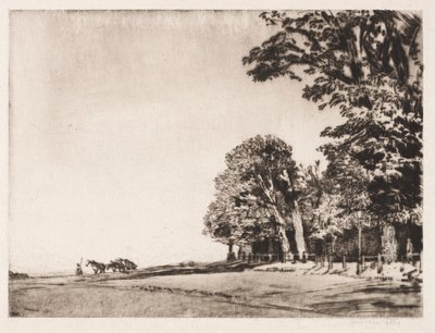Hampstead Heath von Muirhead Bone