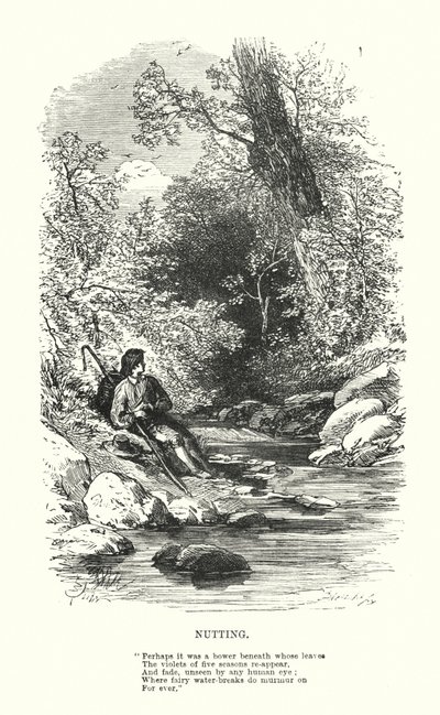 William Wordsworth: Nutting von Myles Birket (after) Foster