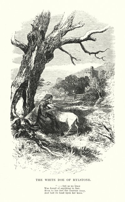 William Wordsworth: The White Doe of Rylstone (Gravur) von Myles Birket (after) Foster