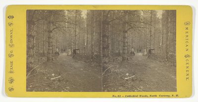 Kathedralenwälder, North Conway, N.H., Mitte des 19. Jahrhunderts von N.W. Pease