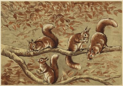 Eine Familiengruppe von N. Parker