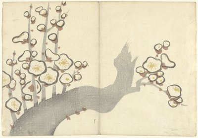 Pflaumenblüte (Prentenalbum von Korin, Korin gafu) von Nakamura Hochu