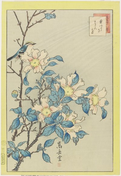 Blauer Vogel und rosa Blumen von Nakayama Sugakudo