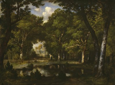 Teich im Wald von Narcisse Virgile Diaz de la Peña