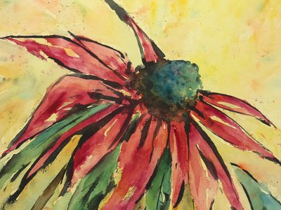 Lebendige rote Sonnenhutblume von Natalie Bruns