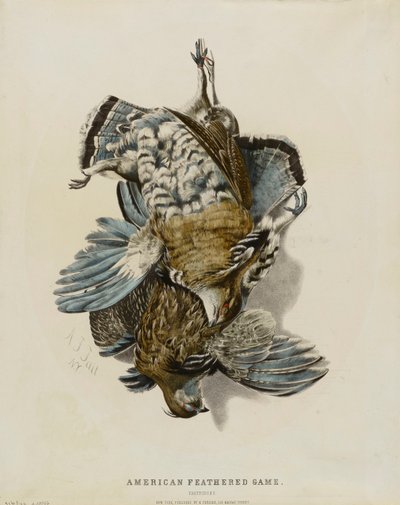Amerikanisches Federwild - Rebhühner von Nathaniel Currier