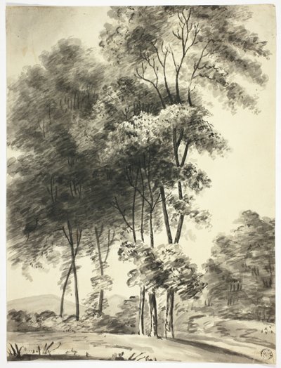 Bäume mit Bergen in der Ferne von Nicholas Pocock