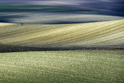 Rollende Feldmuster von Nicola Figliuolo