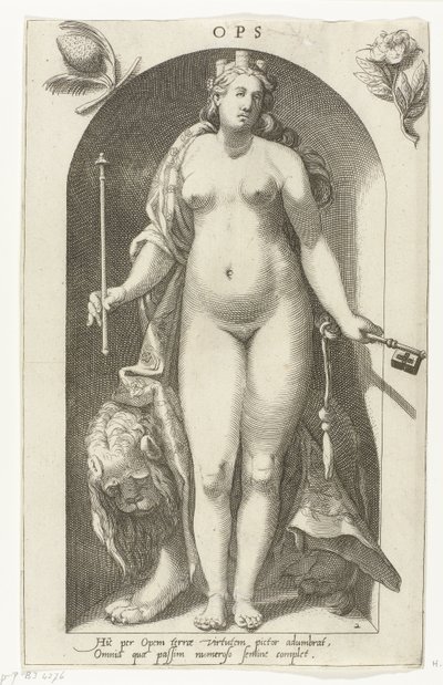 Ops von Nicolaas Braeu