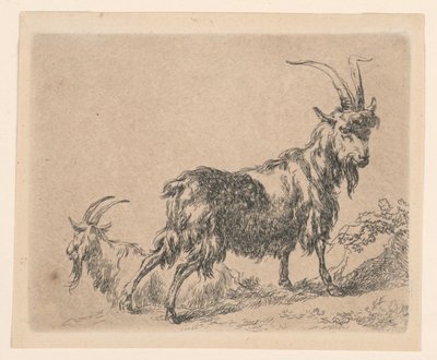 Zwei Ziegen, aus Berchems "Animalia" (Tiere) von Nicolaes Berchem