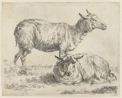 Stehendes und liegendes Schaf (Serientitel: Schafe) von Nicolaes Pietersz Berchem