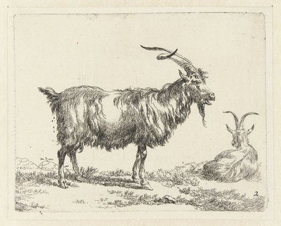 Zwei Ziegen von Nicolaes Pietersz Berchem