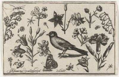 Blumen, Schmetterling und ein Vogel von Nicolaes de Bruyn (possibly)