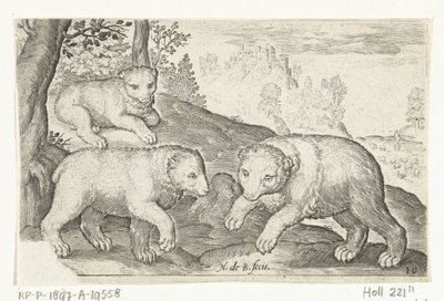 Drei Bären von Nicolaes de Bruyn