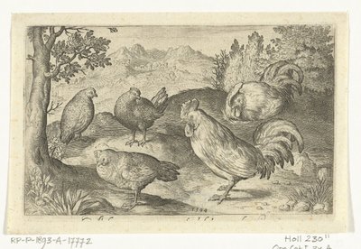 Drei Hühner und zwei Hähne (Vögel und Insekten) von Nicolaes de Bruyn