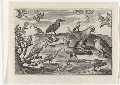 Hopfen und andere Vögel von Nicolaes de Bruyn