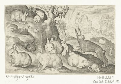 Kaninchen, Eichhörnchen, Meerschweinchen und Maus von Nicolaes de Bruyn