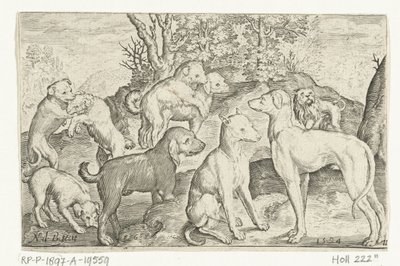 Neun Hunde von Nicolaes de Bruyn