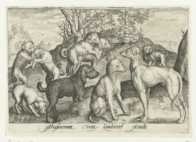 Neun Hunde von Nicolaes de Bruyn