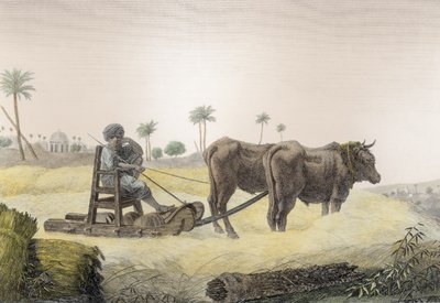 Kornernte, aus Band II Künste und Gewerbe von 