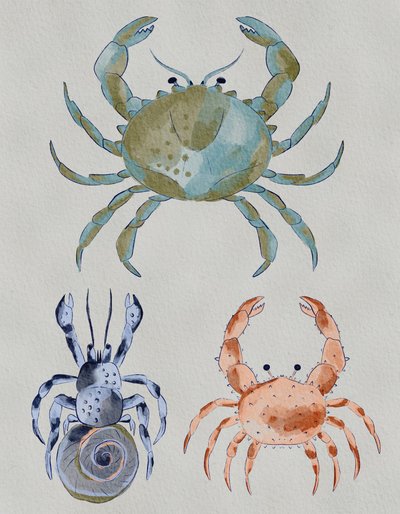 Ozeankrebse Aquarell von Nikita Jariwala