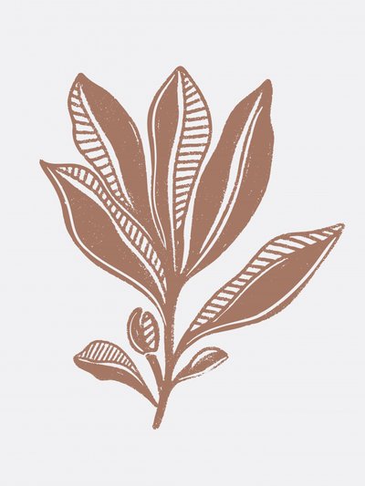 Organische botanische Skizze von Nikita Jariwala