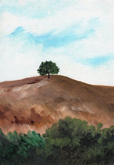 Einsamer Hügelbaum von Nikita Jariwala