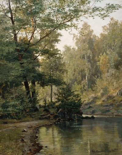 Waldsee von Nils Hansteen