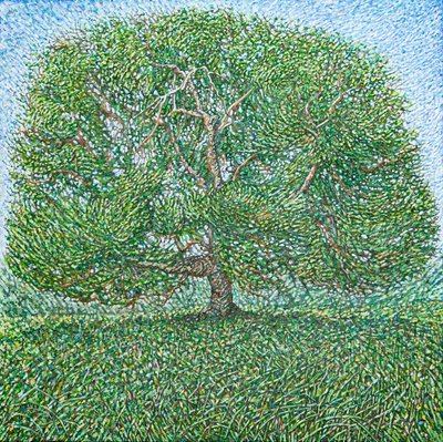 Langer Sommerbaum, 2024 von Noel Paine