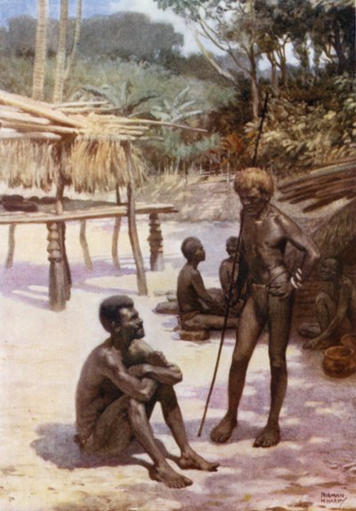 Ein Yam-Schuppen auf der Insel Tierra Espiritu Santo, Neue Hebriden von Norman Hardy