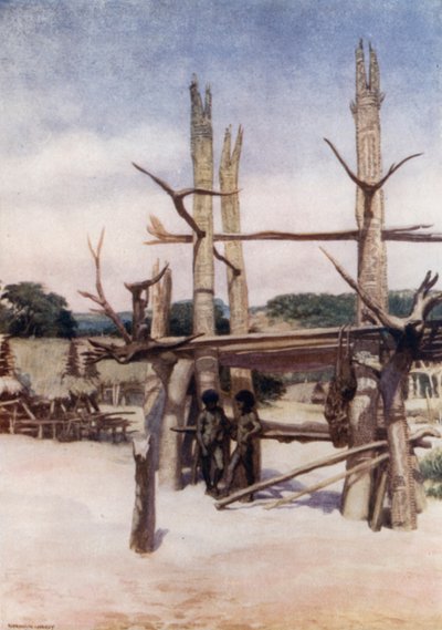 Der Dubu in Rigo, Britisch-Neuguinea (Farblithografie) von Norman Hardy