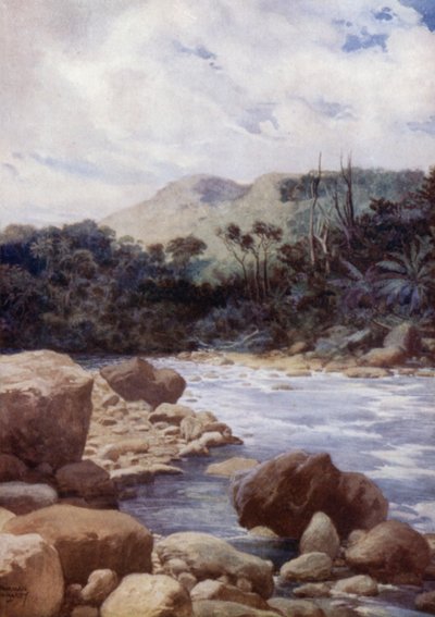 Die Stromschnellen, Williams River, Insel Eromanga, Neue Hebriden (Farblithografie) von Norman Hardy