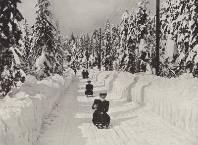 Wintersport bei Kristiania von Norwegian Photographer