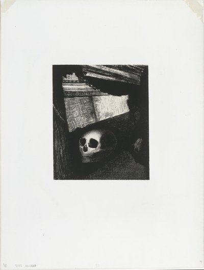 Ein Mann des Volkes, ein Wilder, aus Der Geschworene von Odilon Redon
