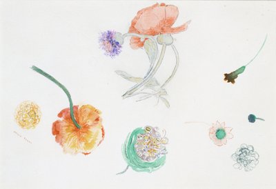 Blumenskizze von Odilon Redon