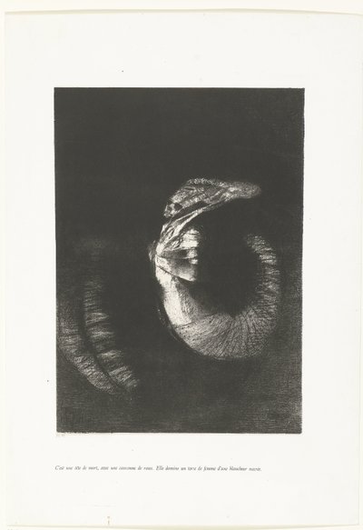 Totenkopf mit Rosenkranz (Tentation de Saint-Antoine) von Odilon Redon
