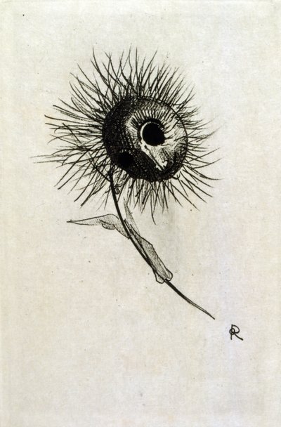 Illustration für 