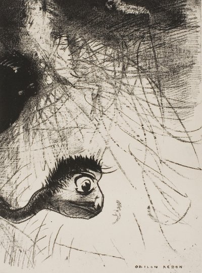 St. Antonius: "Irgendwo muss es urtümliche Formen geben, deren Körper nur Bilder sind", Platte 4 von 6 von Odilon Redon