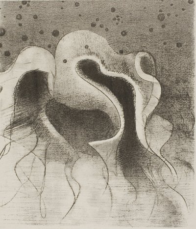 Die Tiere des Meeres, rund wie Lederflaschen, Platte 22 von 24 von Odilon Redon