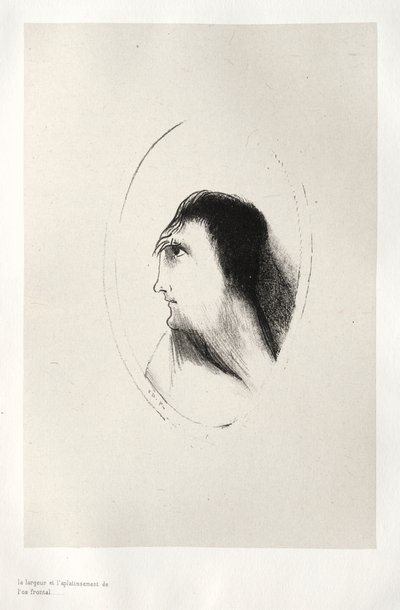Das Spukhaus: Die Breite und Flachheit des Stirnbeins von Odilon Redon