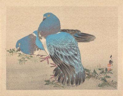 Tauben von Ogata Gekko