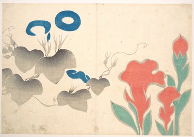 Entwurf mit Prunkwinde und anderen Blumen von Ogata Korin