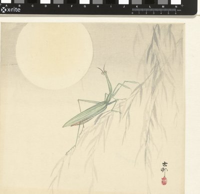 Gottesanbeterin von Ohara Koson