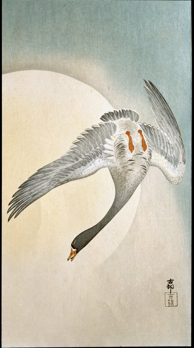 Flug der Ente im Mondlicht. Xylographie und japanischer Druck von Ohara Koson von Ohara Koson