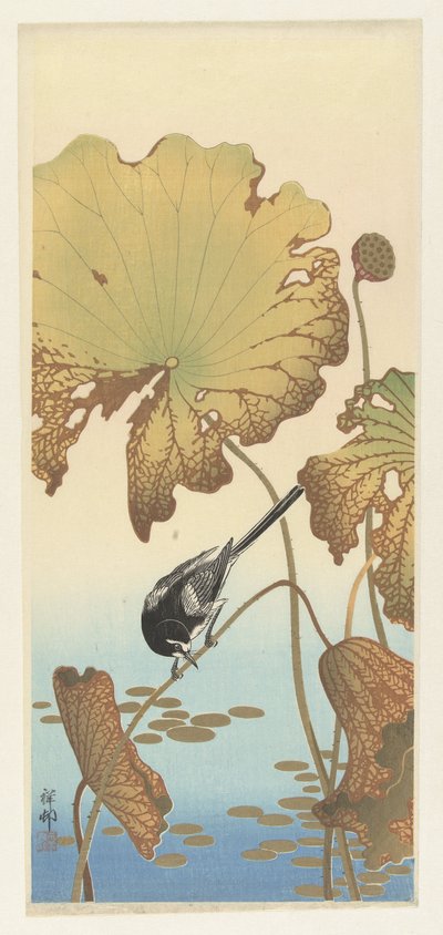 Japanische Bachstelze auf Lotuspflanze von Ohara Koson