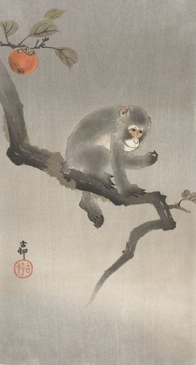 Affe in einem Obstbaum von Ohara Koson