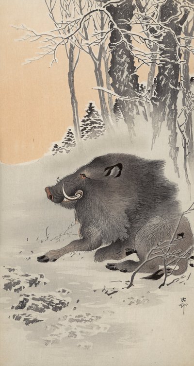 Liegender Eber in einer schneebedeckten Landschaft von Ohara Koson