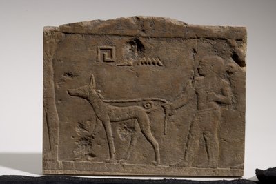 Relief, das einen Zwerg und einen Jagdhund namens Ebony darstellt, 4.-5. Dynastie, 2573-2311 v. Chr. (Kalkstein) von Old Kingdom Egyptian