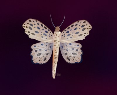 Gefleckter Schmetterlingsglanz von Olga Skomorokhova